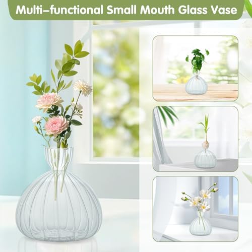 Large Avocado Grow Vase Glass Striped Acorn Seed Starter Vase for Growing