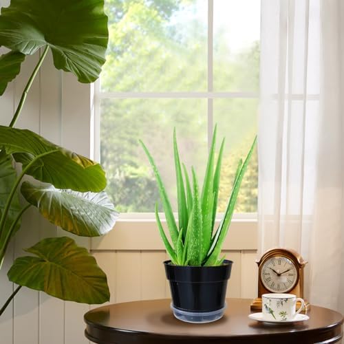 RooTrimmer 12 Pack Plant Pots, 8 Inch Plant Planter with Clear Saucer, Plastic Pots for Plants Indoor and Out Door Such as Strawberry, Herb and Flowers (Black)