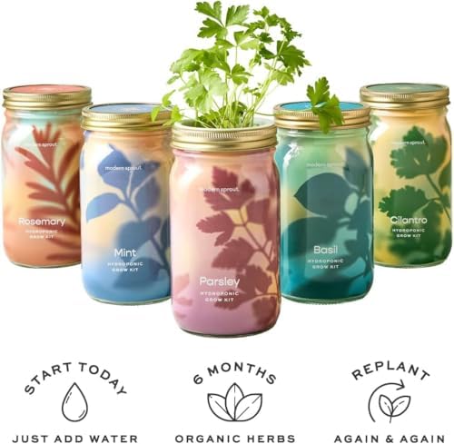 Modern Sprout Mason Garden Jar-Self-Watering Kit - Lavender+Rosemary