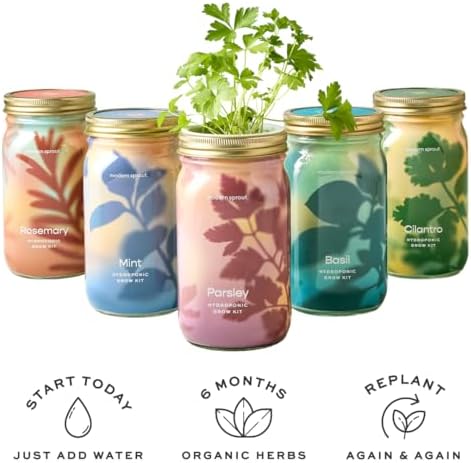 Modern Sprout Mason Jar Grow Set 6pk - Hydroponic Indoor Herb Garden Kit