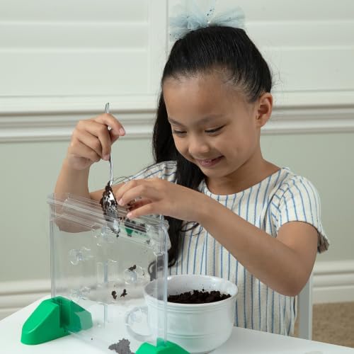 Educational Insights Sprout & Grow Window - See-Through Sprouts Growing Kit, Kids Gardening Set, Kid-Friendly Science Kits, Root Viewer, Gardening Kit for Kids, Indoor Classroom Planter, Ages 5+