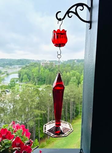 Real Glass Ant Moat for Hummingbird Feeders & Oriole Feeders Glass Tulip Shape Insect Guard with Large Capacity Flower Design Nectar Feeder Accessory Hooks (Red, 2 Pack)