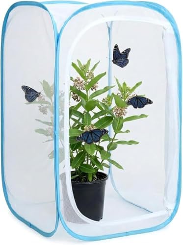 Insect & Butterfly Habitat Cage, Portable Pop-Up Terrarium with Mesh Sides, Bug Catching & Observation Enclosure for Caterpillars, Small Insects, Outdoor & Classroom Use, 24 Inches Tall