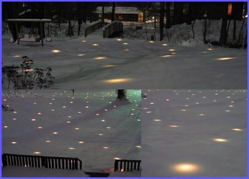 Lawn Lights Illuminated Outdoor Decoration, LED, Christmas, 36-08, Fireflies