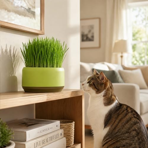 Hydroponic Cat Grass Planter, Plastic Catnip Cat Grass Box 5.31"x2.56", Soil-Free Anti-Digging Planting Trays, Wheatgrass Growing Pot for Indoor Cats Pets (Green)