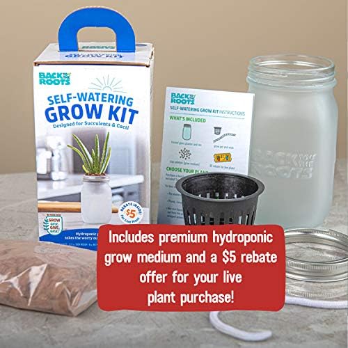 Back to the Roots Self Watering Grow Kit - Glass Hydroponic Planters for Succulents and Cacti Self-Watering System