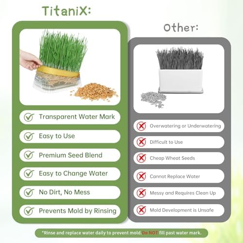 Hydroponic Cat Grass Grow Kit with 5 Pack Non GMO Wheat Seeds, Cat Grass for Indoor Cats, Organic Grass Growing Kit, Soil-Free Planter, Perfect for Beginners, Cats Gifts