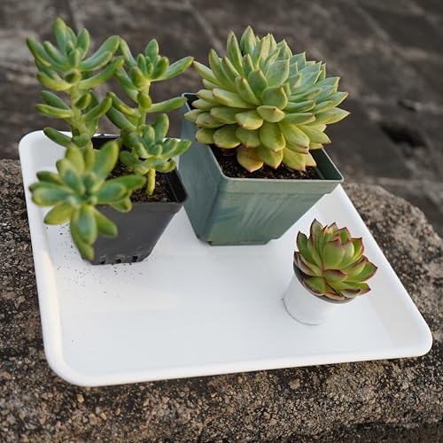 VUWEZ 2 Pack Plant Growing Nursery 1020 Trays, Heavy Sturdy Seed Starting Saucer, No Holes Starter Tray for Indoors (22"x11.2", Creamy White)