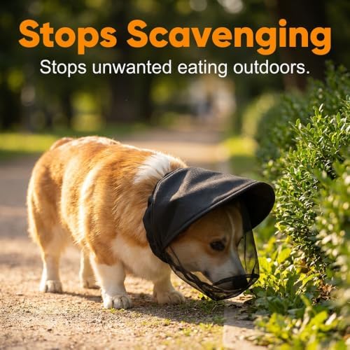 Guard Dog Foxtail Protection Hood for Dogs, Breathable Mesh Dog Bug Hood, Outdoor Dogs Face Guard for Hunting Trips (Black, L)