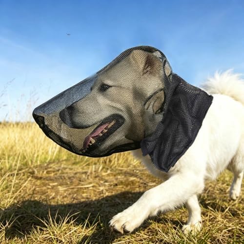 Foxtail Mask for Dogs – Foxtail Protection Hood for Dogs,Large