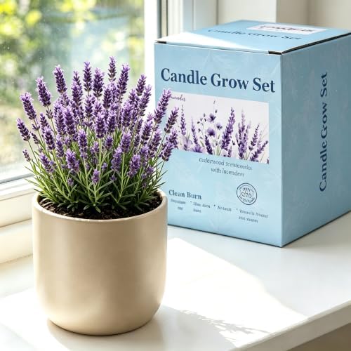 Cedar Scented Candle Planter, Lavender Seeds with Coco Coir, The Growing Candle 100% Soy Wax, Aromatherapy Candle, Ceramic Pot Home Decor Gift, Unique Gardening Gifts for Women Mom Plant Lover