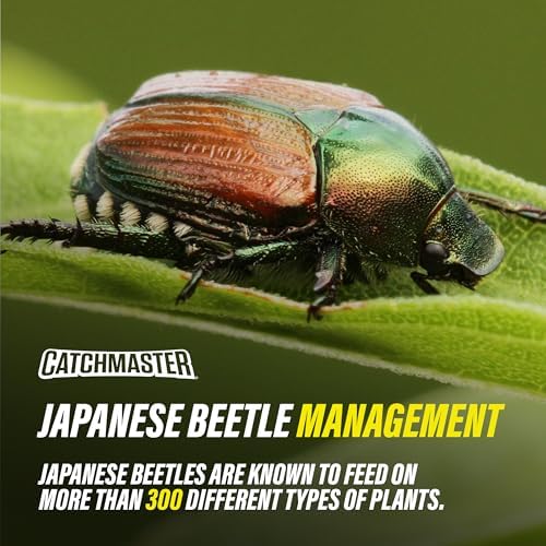 Catchmaster Japanese Beetle Traps 3 Pack, Outdoor Beetle Bags w/Dual Lure