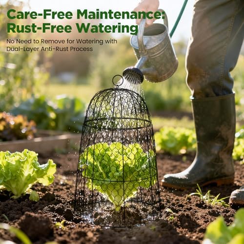 6 Pack XL Metal Garden Cloches for Plants, 17" Tall Chicken Wire Cloches