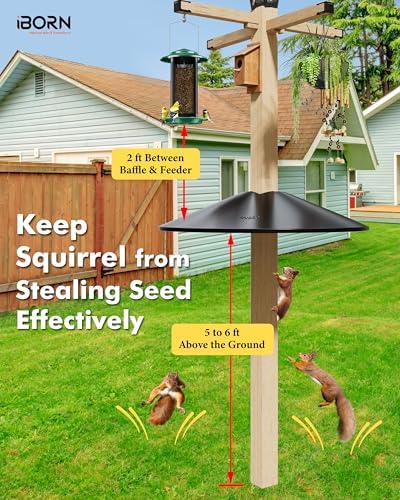 iBorn Squirrel Baffle for Bird Feeder Pole, Baffle for 4x4 Post, 22inch Oversized Squirrel Defender Stopper, Polycarbonate(PC), Dual Compatible Post/Pole Mount Guards, Pack of 1, Black