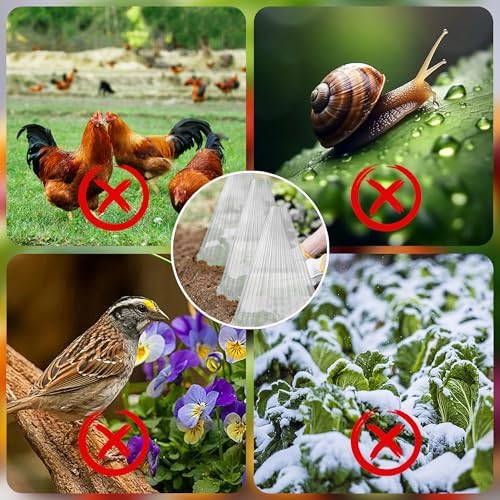 Garden Cloches for Plants - Reusable Clear Plant Protectors, PET Plant Bell CoverFrost & Pest Protection for Vegetables, Seedlings, Outdoor Gardens (Transparent,30)