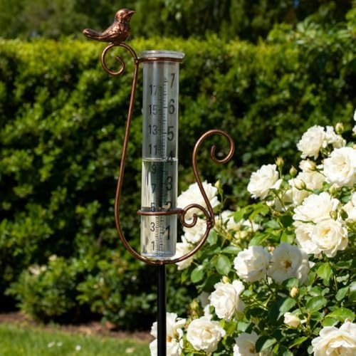 Rain Gauge Outdoor with 7 Inch Glass Tube