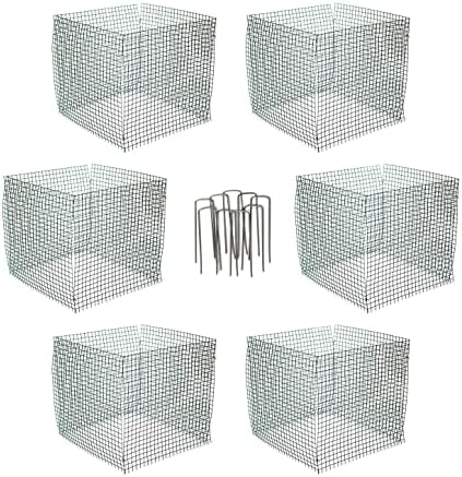 6 New Small Wire Plant Protectors, 12" Square, 12" high (Vinyl Coated Rust Resistant Wire)