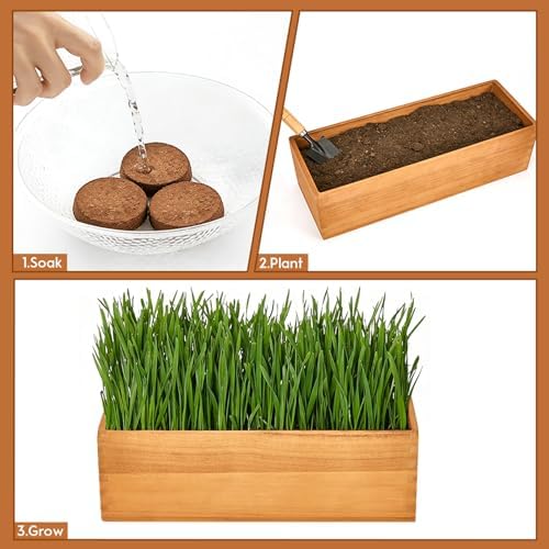 Wooden Cat Grass Planter (no Seeds Included) Anti Digging Design,with Anti-Digging Grid, Potting Soil Disks,Watering Bottle and Removable Plastic Liner,Cat Grass Kit for Indoor Cats Rabbits Pets