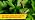 Corry's 100511427 Slug and Snail Killer, 1.75 lb