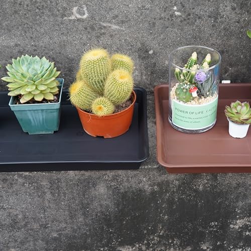 VUWEZ Plant Saucer Growing Tray, Seed Starter Tray Rectangular, Heavy Sturdy Plastic Plant Drainage Saucers, Plant Drip Trays for Pots, Seed Starter Growing Trays (11 x 9 inch, 2 Pack)