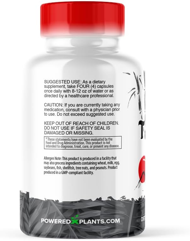 Takesumi Activated Charcoal - 2500mg Max Dose – Supreme Pure Activated Charcoal from Bamboo for Max Absorption, Detox & Gut Nutrition, Japanese Takesumi Activated Charcoal - 120 Vegetarian Capsules
