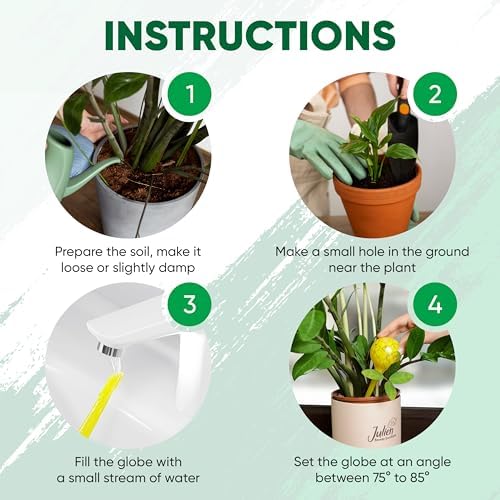 Plant Watering Globes Set of 4, Large - Glass Self Watering Globes