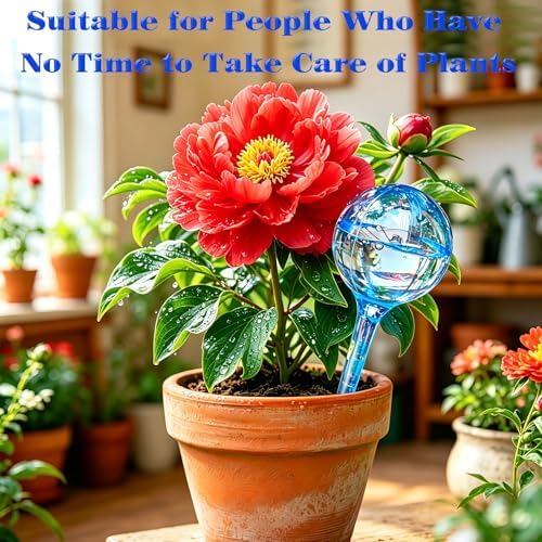 Large 12pcs Plant Watering Globes, Plant Watering Bulb Indoor Potted Plant