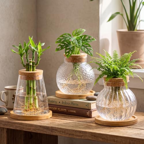 Honeydak 6 Pcs Plants Propagation Stations Planter Terrariums with Wooden Lid and Bamboo Stand Hammered Glass Propagation Vases for Plant Growing Hydroponic Home Office Tabletop Decoration
