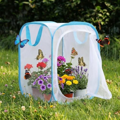 Insect & Butterfly Habitat Cage, Portable Pop-Up Terrarium with Mesh Sides, Bug Catching & Observation Enclosure for Caterpillars, Small Insects, Outdoor & Classroom Use, 16 Inches Tall