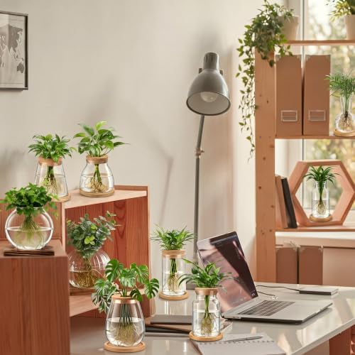 Honeydak 12 Pcs Plants Propagation Stations Desktop Glass Propagation Vases