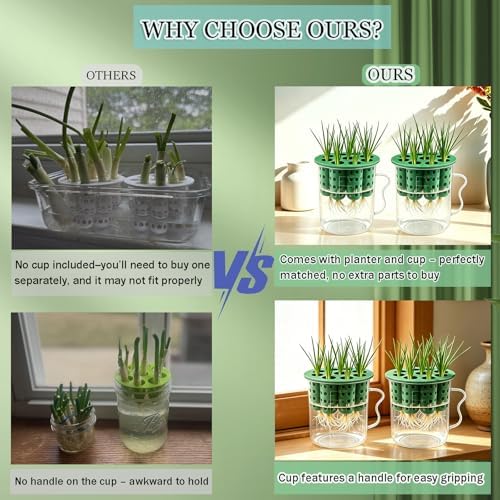 2Set Green Onion Planter Scallion Regrower Seed Sprouting Kit