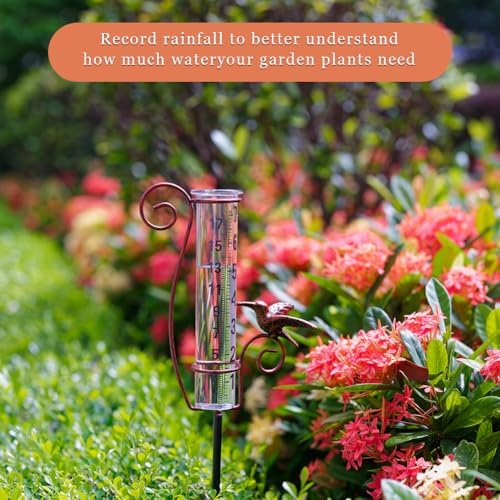 Rain Gauge Outdoor with 7 Inch Glass Tube