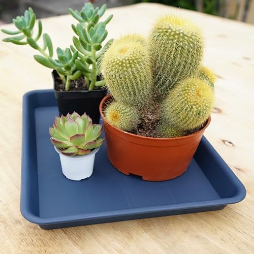VUWEZ Plant Growing Trays 2 Pack, Plant Tray, 14.5"x11", Heavy Sturdy Plastic Plant Saucer Seed Trays, Seedling Starter Tray, Plant Drip Trays for Indoors, Seed Starter Growing Tray (Blue)