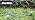 Riboud 240FT Drip Irrigation System Kit, Automatic Garden Watering System for Plant, Greenhouse, Yard, Lawn, with 1/2 inch 1/4 inch Irrigation Tubing Hose and Accessories