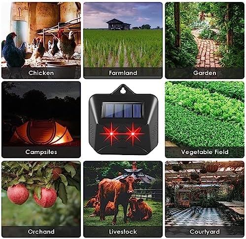 Solar Nocturnal Animal Repeller Outdoor Predator Lights for Chicken Coop Predator Protection Coyote Deterrent for Yard Nite Guard Solar Lights Predator Eyes-Protects Against Fox,Raccoon,Skunk,Deer(4)