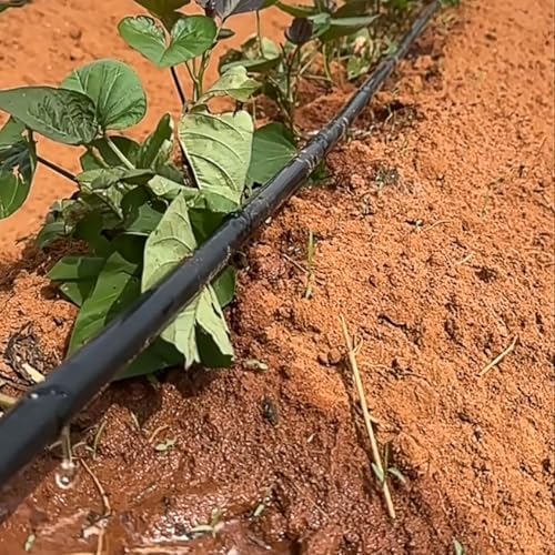 1000ft 5/8 Inch Drip Tape 6" Spacing Roll 16 Mil Irrigation Hose Garden Watering Tube Line Automatic Equipment for Garden Irrigation System Flower Patio Lawn Hose