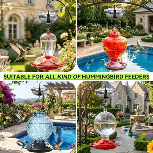 Ant Moat for Hummingbird Feeder, 5 OZ, 4 Pack, Black