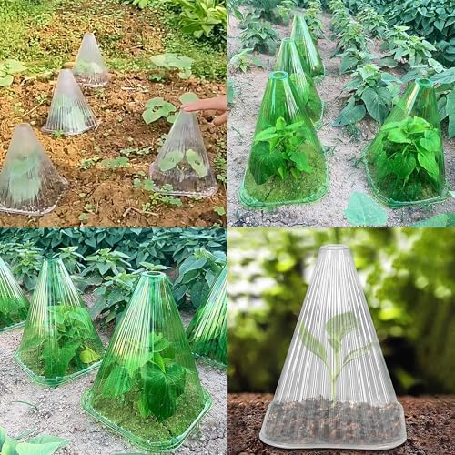 Garden Cloches for Plants - Reusable Clear Plant Protectors, PET Plant Bell CoverFrost & Pest Protection for Vegetables, Seedlings, Outdoor Gardens (Green,20)
