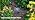 HIRALIY 140FT Quick-Connect Drip Irrigation Kit for Large Gardens