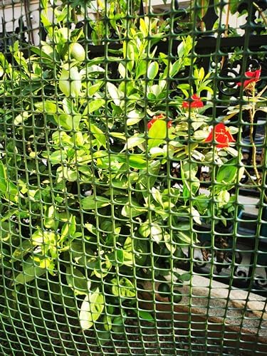 PotatoLife Green Plastic Garden Fence, Hardware Mesh, 4' x 50'