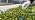 360° Adjustable Drip Irrigation System for Garden,Automatic Watering System