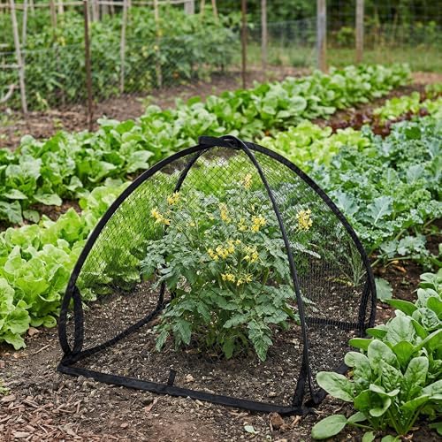 2 Pcs Pop-Up Mesh Plant Cover Tent, 22 Inch Garden Net Cage Guard Cover