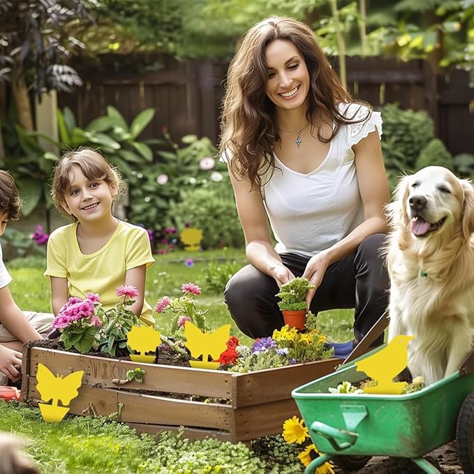 36 Pcs Classic Sticky Traps for Fungus Gnat (Plants), Fruit Fly, Whitefly, and Fly, Yellow Sticky Insect Catcher Traps for Indoor/Outdoor, Kitchen, and Plants, High-End Glue, Non-Toxic, 4 Shapes