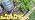 Drip Irrigation System with Quick-Connect, 248FT Complete Kit