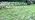 Drip Irrigation System with Sprinkler Timer 1/2" 1/4" Irrigation Tubing