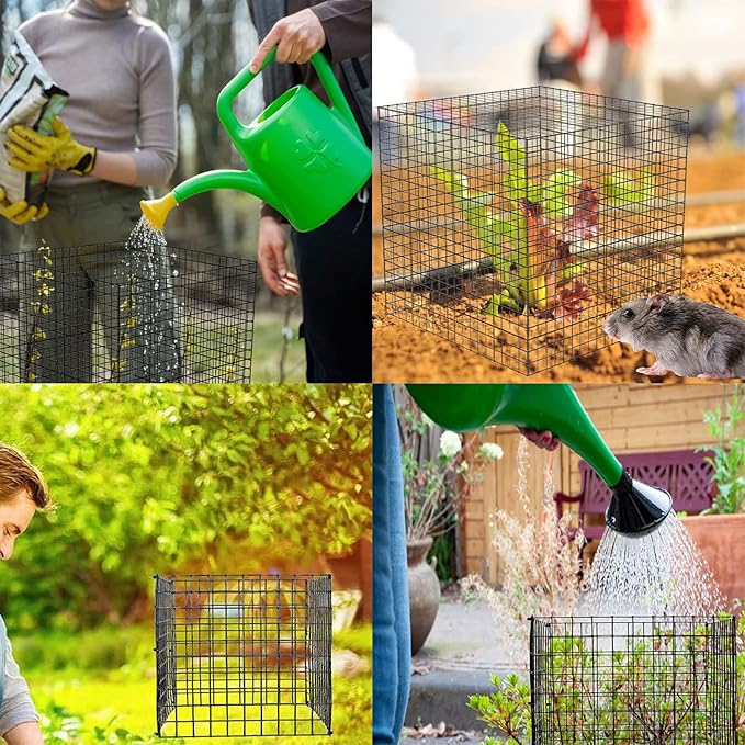 Small Wire Plant Protector, 6 Pack Black Chicken Wire Cloche Plant Protectors for Garden, Iron Wire Mesh Plant Cages for Plants and Vegetables to Protect from Rabbits,Dogs,Chickens and Other Animals