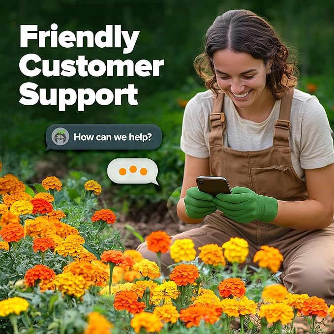 HOME GROWN Petite French Marigold Seeds 658 Flower Seeds for Planting Outdoor Easy to Grow Companion Plant & Quick Blooming Pollinator Heirloom Wildflower Seeds (Tagetes patula)