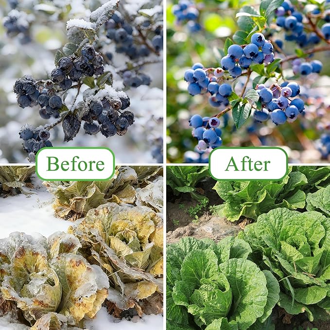 POILKMNI 10'x50' Plant Covers Freeze Protection - Plant Covers for Winter, Frost Cloth Tree Freeze Protection, Frost Blankets for Outdoor Plants, Winter Floating Row Cover