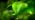Tree Watering Bag, 20 Gallon Slow Release Tree Watering Bags-Drip Irrigation Bag for Newly Planted or Established Trees (8 Pack)