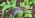 Anleolife 230FT Drip Irrigation System Kit, Complete Garden Watering System